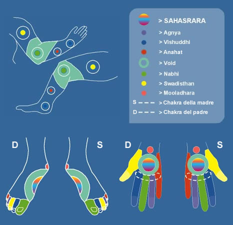 Mappa dei chakra su mani, piedi, gambe e braccia