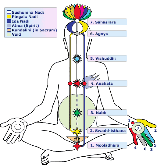 Chakra ChakraChartNew1